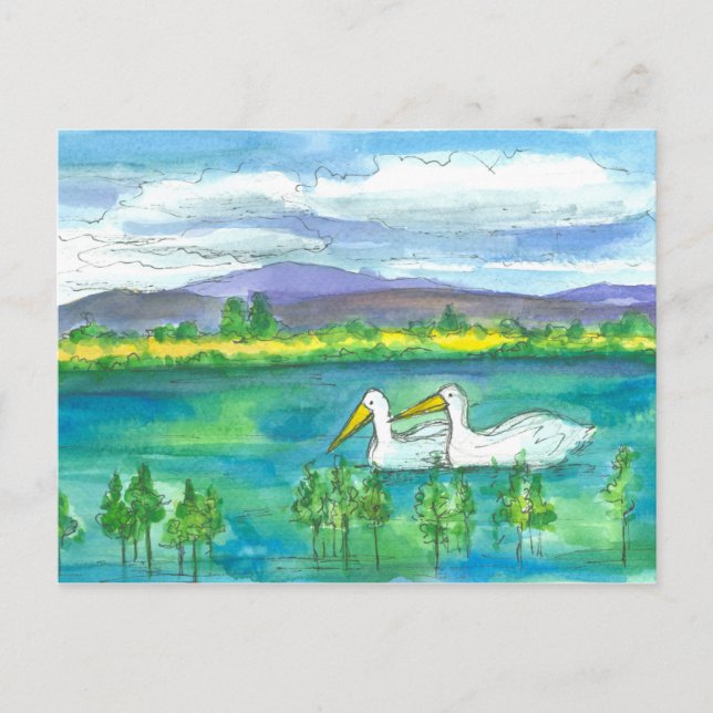Pelican Birds Desert Mountain Lake Watercolor Postcard (Front)