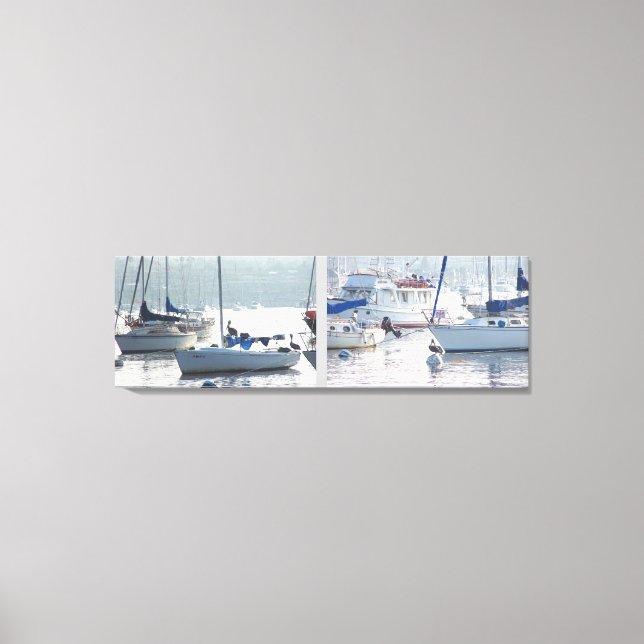 Pelican Birds Wildlife Animals Beach Canvas Print (Front)