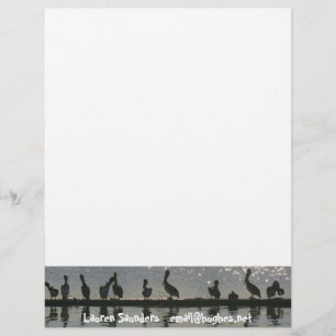 Pelican Birds Wildlife Animals Letterhead