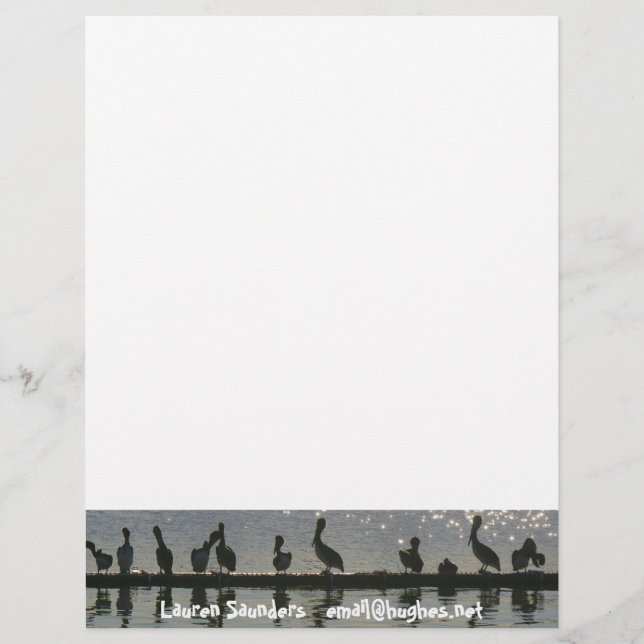 Pelican Birds Wildlife Animals Letterhead (Front)