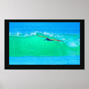 Pelican Birds Wildlife Animals Poster