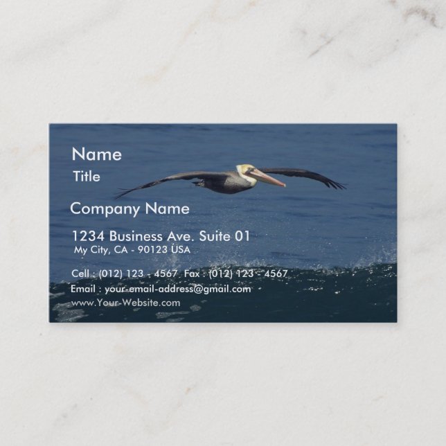Pelican Business Card (Front)