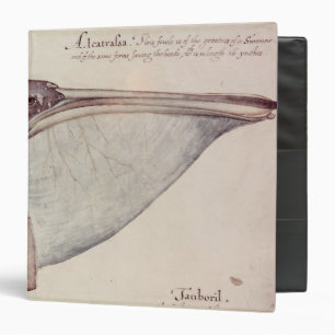 Pelican, c.1590 binder