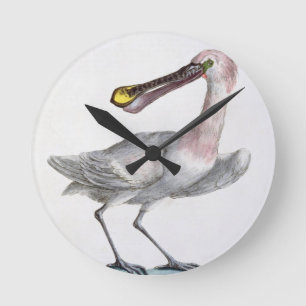 Pelican, c.1767-76 (hand coloured engraving) round clock