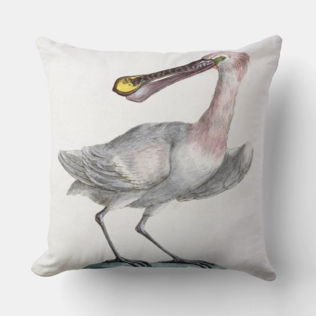 Pelican, c.1767-76 (hand coloured engraving) throw pillow (Front)