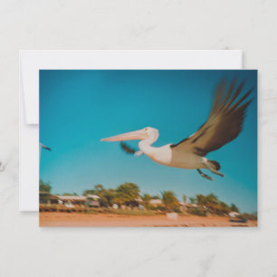 Pelican card