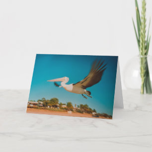 Pelican Card