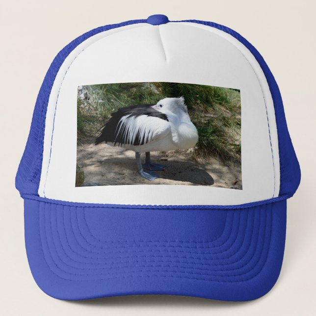 Pelican Cat Naps, Trucker Hat (Front)