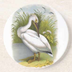 Pelican Coaster