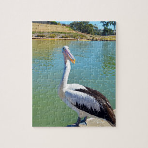 Pélican Conversation arrière, Jigsaw Puzzle