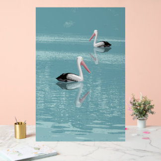 Pelican Couple Paddle sur Calm Aqua Water