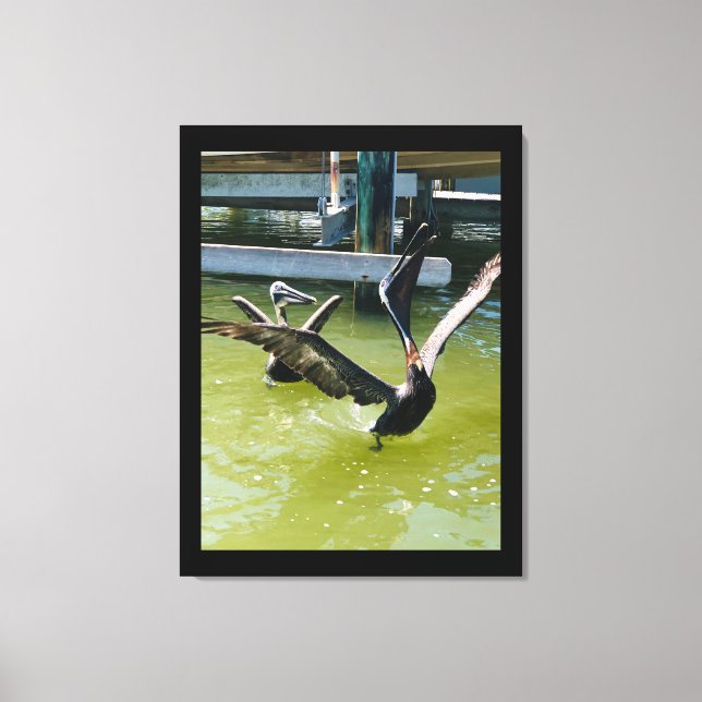 Pelican Dance Canvas Print (Front)