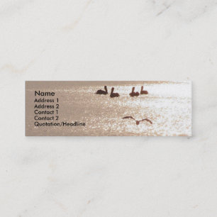 Pelican Dawn Profile Card