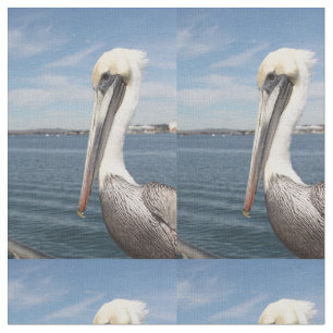 Pelican Fabric