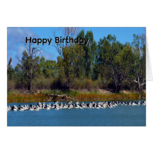 Pelican Fishing Frenzy, River Murray, Bday Card