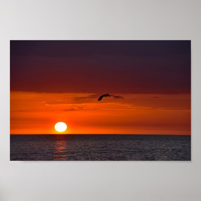 Pelican Flying at Sunset Poster (Front)