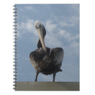 Pelican from Peru Notebook