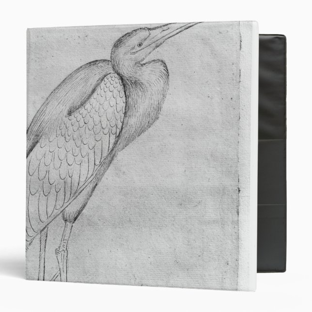 Pelican, from the The Vallardi Album Binder (Front/Inside)