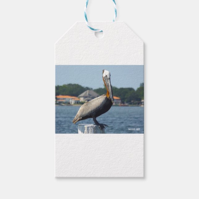 PELICAN GIFT TAGS (Front)