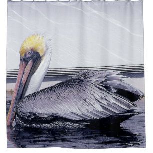 Pelican Gliding