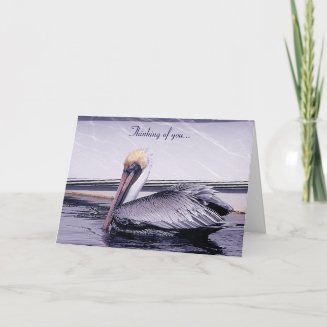 Pelican Gliding Card (Front)