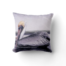 Pelican Gliding