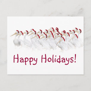 Pelican Happy Holidays Postcards! Holiday Postcard
