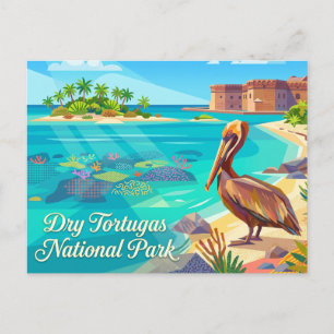 Pelican in Dry Tortugas National Park Florida Postcard