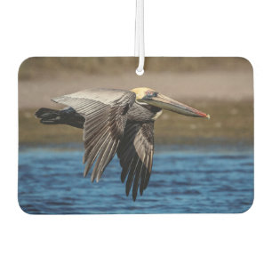 Pelican in flight air freshener