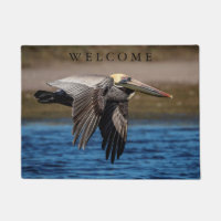 Pelican in flight