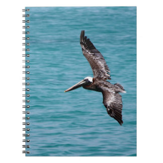 Pelican in flight notebook
