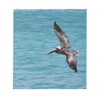 Pelican in flight notepad