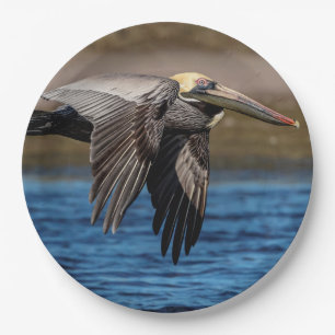 Pelican in flight paper plate