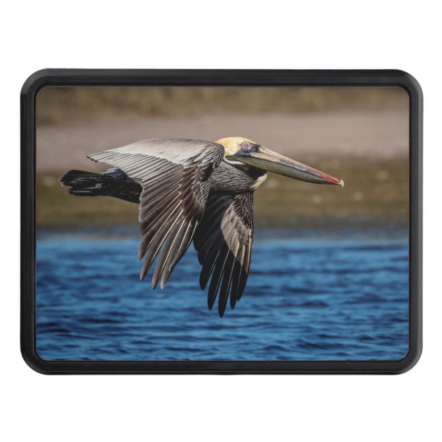Pelican in flight trailer hitch cover (Front)