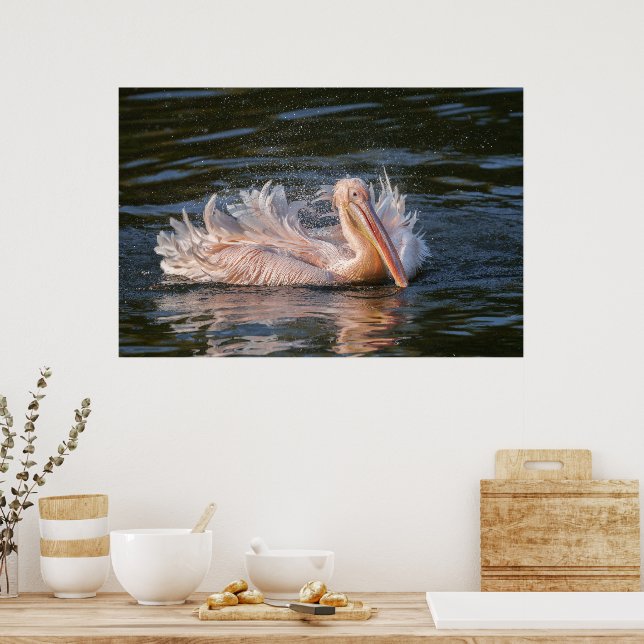 Pelican in Motion Poster (Kitchen)