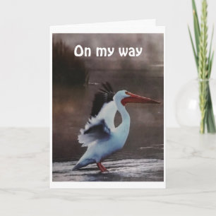 PELICAN IS FLYING BY TO SAY *HAPPY BIRTHDAY* CARD