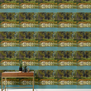 Pelican Island, River Murray, Australia, Wallpaper