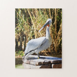 Pelican Jigsaw Puzzle