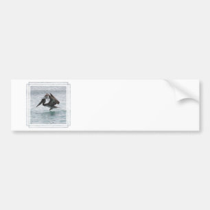 Pelican Landing Bumper Stickers