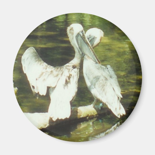 PELICAN LOVE - aimant (Devant)