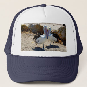 Pelican Love,  Hat
