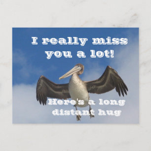 Pelican Love_ Postcard