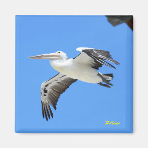Pelican Magnet