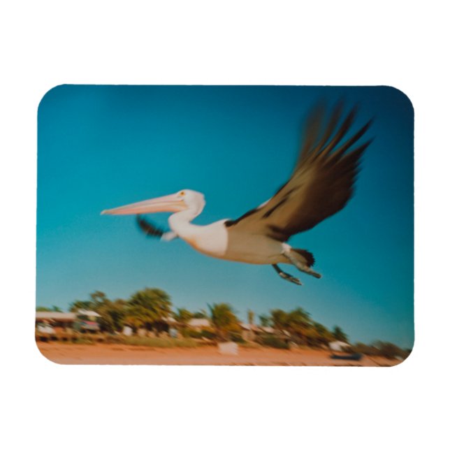 Pelican Magnet (Horizontal)