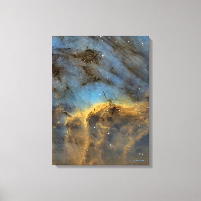 Pelican Nebula Canvas Print (Front)