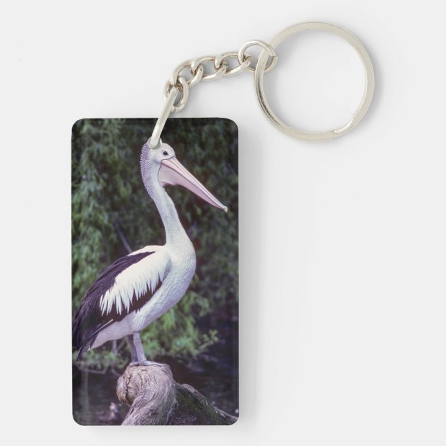 Pelican on a branch, Tasmania - Australia Keychain (Back)