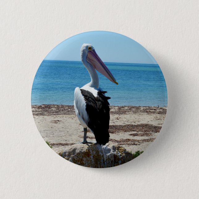Pelican On Beach Rock, 2 Inch Round Button (Front)