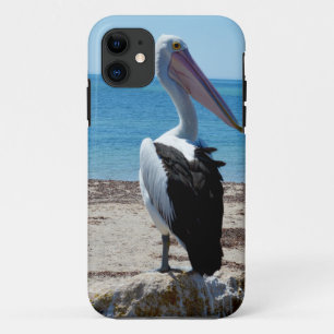 Pelican On Beach Rock, iPhone 11 Case