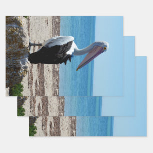 Pelican On Beach Rock, Wrapping Paper Sheet