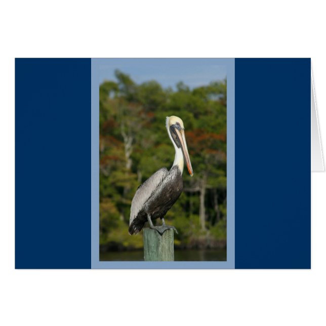 Pelican on Blue (Front Horizontal)